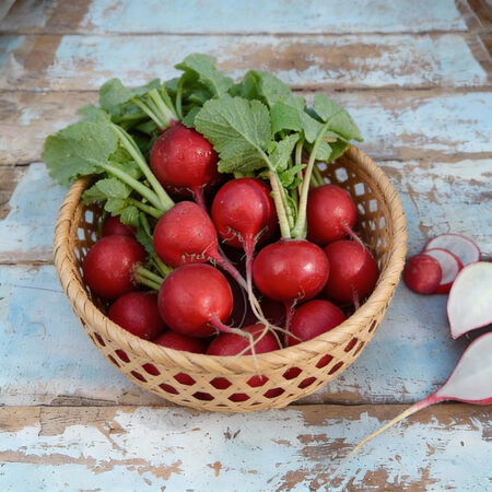 Early Scarlet Globe, Radish Seeds - Packet image number null